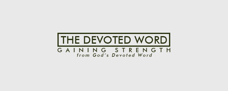 The Devoted Word / Blog Design / Hannah Rose Beasley